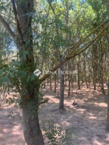 Eladó telek, Martfűn 13 M Ft / költözzbe.hu