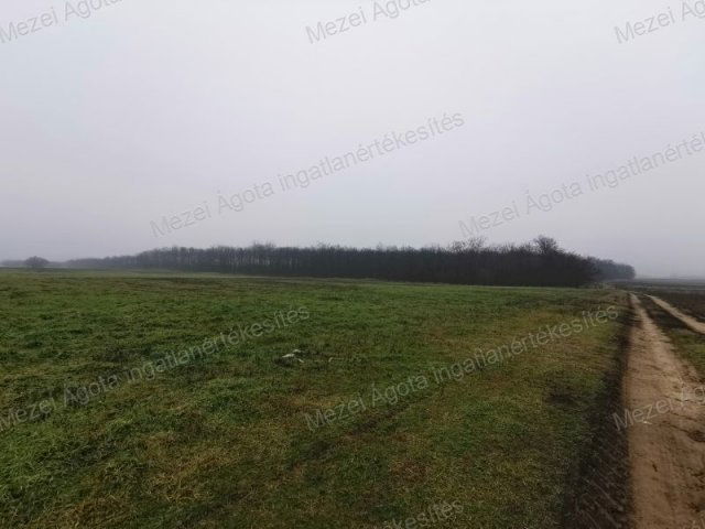 Eladó telek, Alsónémediben 918.64 M Ft / költözzbe.hu