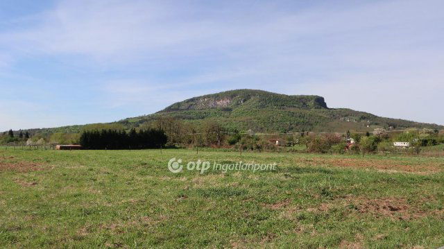 Eladó mezogazdasagi ingatlan, Badacsonytomajon 15.9 M Ft
