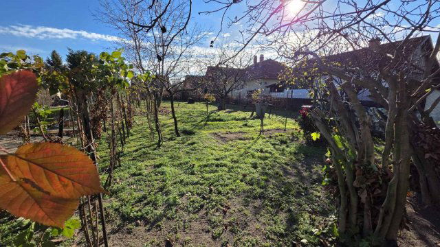 Eladó családi ház, Szigethalmon 59.9 M Ft, 2 szobás