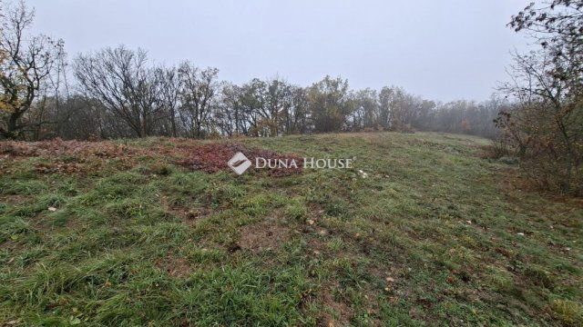 Eladó telek, Balatonszőlősön 45 M Ft / költözzbe.hu