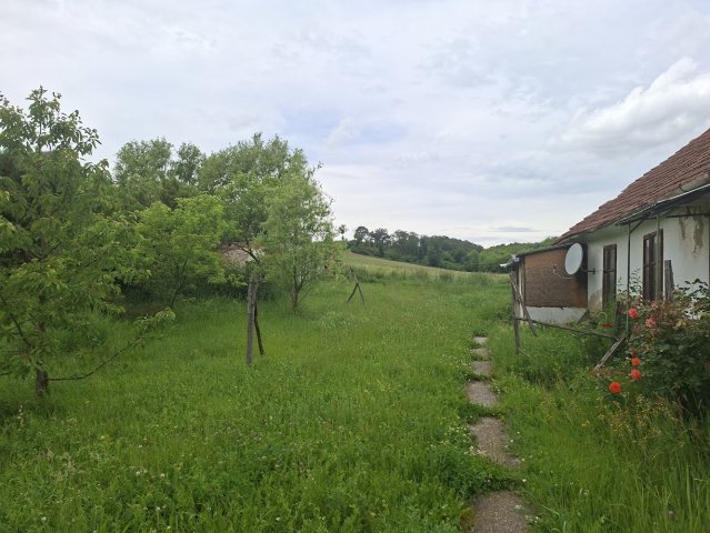Eladó családi ház, Mindszentgodisán 4.2 M Ft, 3 szobás
