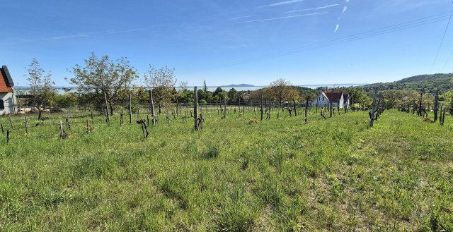 Eladó telek, Ábrahámhegyen 79.9 M Ft / költözzbe.hu