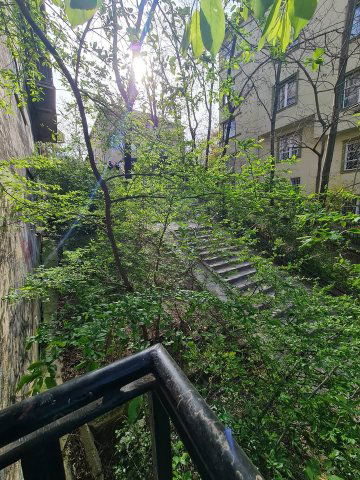 Kiadó téglalakás, albérlet, Budapesten, II. kerületben