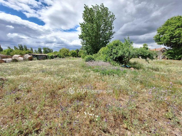 Eladó telek, Tiszakécskén 5.9 M Ft / költözzbe.hu