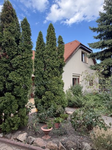 Eladó családi ház, Solymáron 149.9 M Ft, 4 szobás