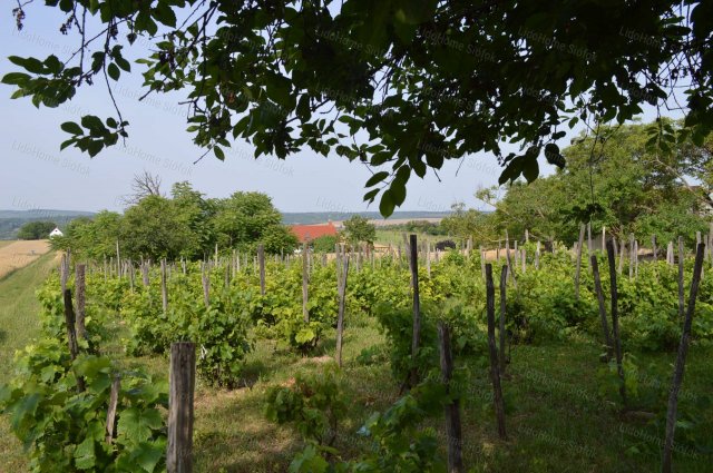 Eladó mezogazdasagi ingatlan, Balatonendréden 10 M Ft