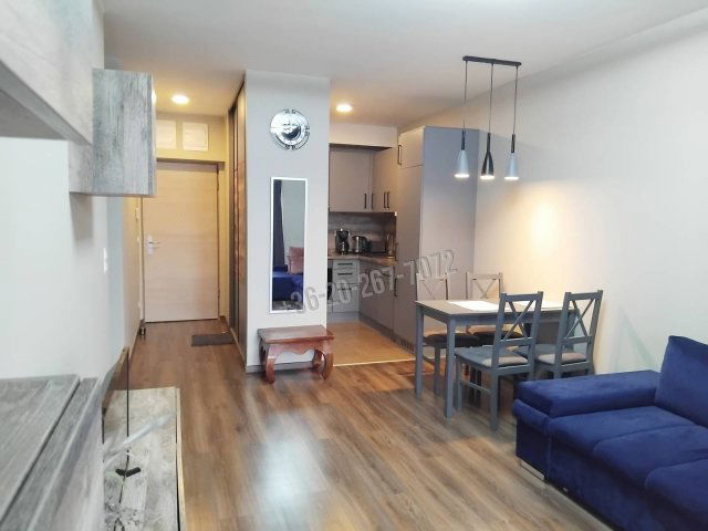 Kiadó téglalakás, albérlet, Budapesten, VIII. kerületben