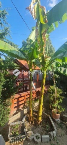 Eladó családi ház, Vecsésen 115.9 M Ft, 4 szobás