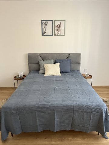 Kiadó téglalakás, albérlet, XIII. kerületben, Lehel utcában