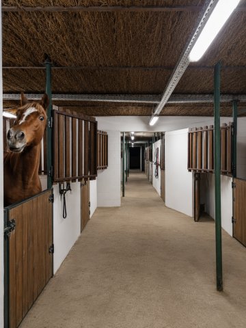 Eladó családi ház, Monorierdőn 60 M Ft, 2 szobás