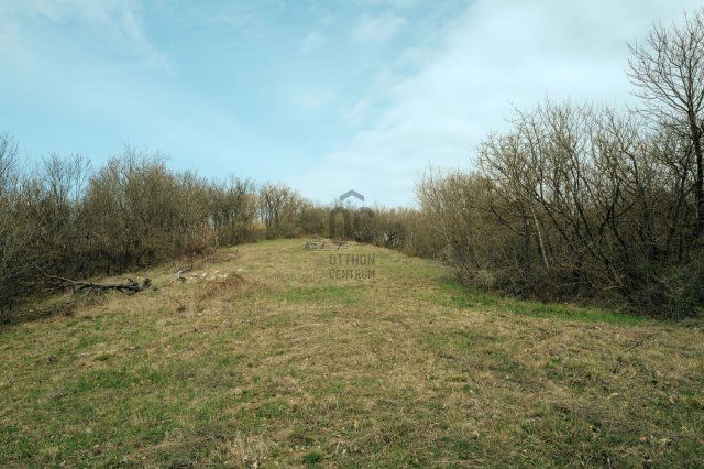 Eladó telek, Balatonszőlősön 40 M Ft / költözzbe.hu
