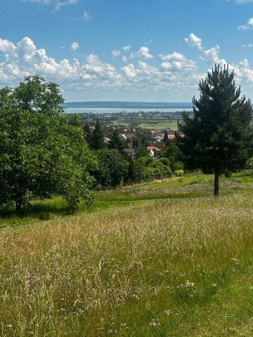 Eladó telek, Cserszegtomajon 64.64 M Ft / költözzbe.hu