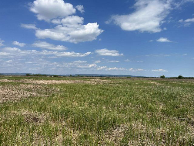 Eladó mezogazdasagi ingatlan, Sármelléken 99 M Ft