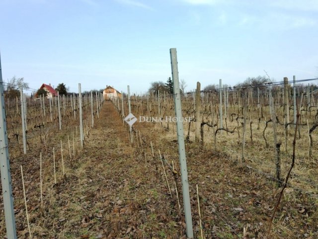 Eladó telek, Pázmándon 23.9 M Ft / költözzbe.hu