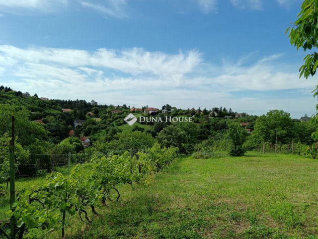 Eladó telek, Pécsett, Szurdok közben 24.9 M Ft