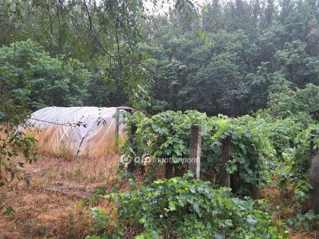 Eladó mezogazdasagi ingatlan, Csemőn 41.6 M Ft, 3 szobás