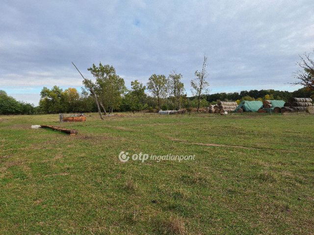 Eladó mezogazdasagi ingatlan, Kunmadarason 29.99 M Ft