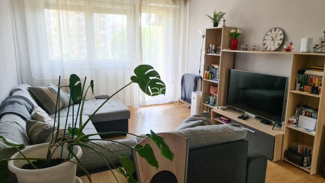 Eladó panellakás, Szegeden, Budapesti körúton 45.5 M Ft