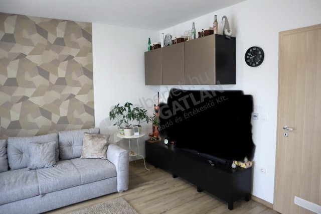 Kiadó téglalakás, albérlet, XIX. kerületben, Hamvas utcában