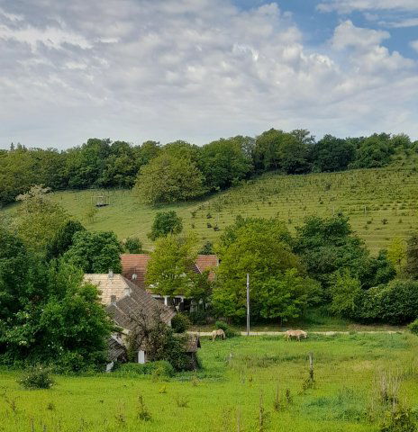 Eladó családi ház, Kötcsén 86 M Ft, 4 szobás