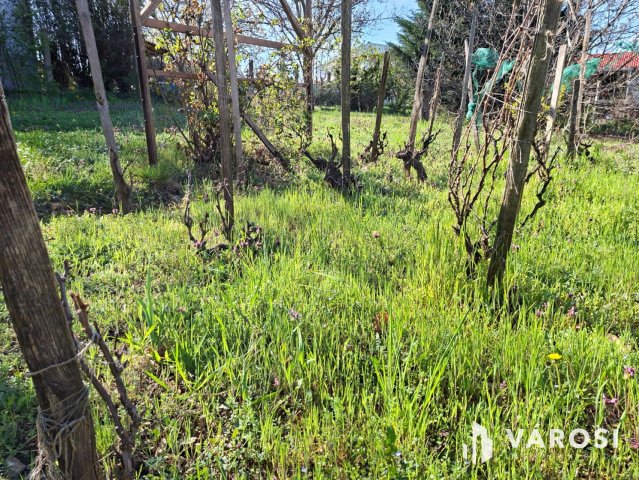 Eladó telek, Alsóörsön 80 M Ft / költözzbe.hu