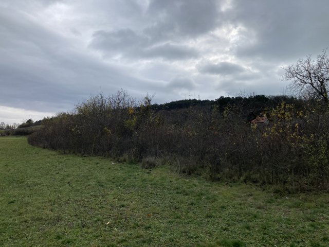 Eladó telek, Tihanyban, Aranyház utcában 17.5 M Ft