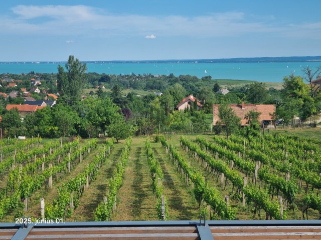 Eladó családi ház, Csopakon 349 M Ft, 3 szobás