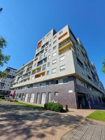 Kiadó téglalakás, albérlet, Budapesten, IX. kerületben