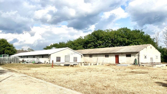 Eladó mezogazdasagi ingatlan, Dabason 150 M Ft