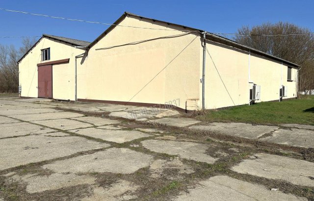 Kiadó ipari ingatlan, Szegeden, Tóth János dűlőn