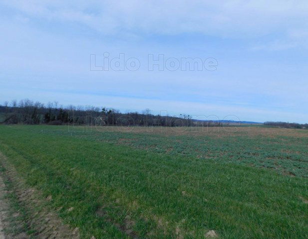 Eladó telek, Nemesbükön 6.5 M Ft / költözzbe.hu