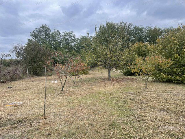 Eladó családi ház, Móron 23 M Ft, 2 szobás