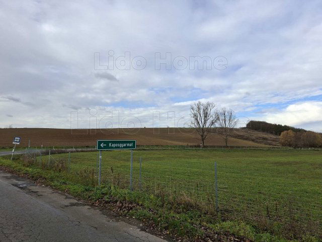 Eladó mezogazdasagi ingatlan, Kaposgyarmaton 5.9 M Ft