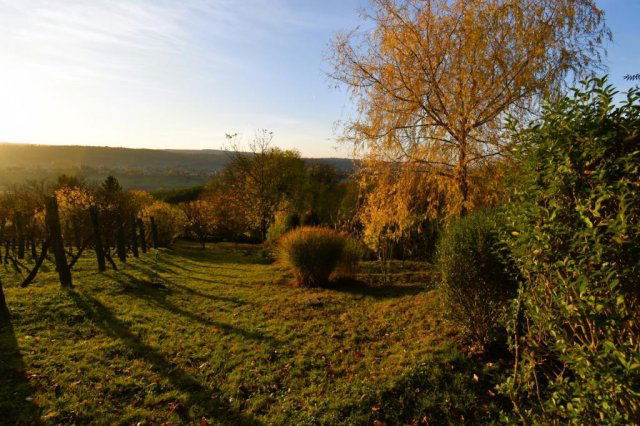 Eladó családi ház, Zalaegerszegen 15.7 M Ft, 1 szobás