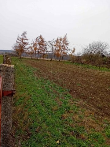 Eladó mezogazdasagi ingatlan, Balatonszárszón 14 M Ft