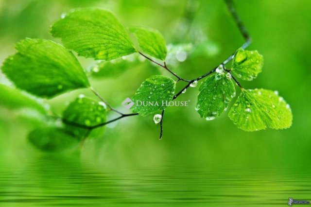 Eladó telek, Nyíregyházán 28 M Ft / költözzbe.hu