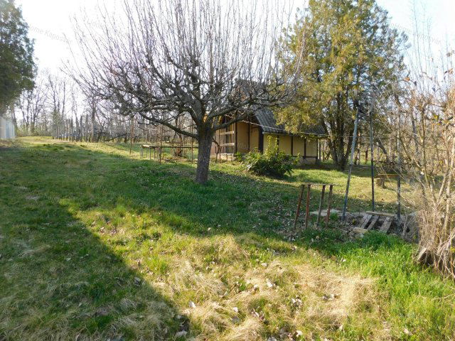 Eladó mezogazdasagi ingatlan, Igalon 5.5 M Ft, 1 szobás