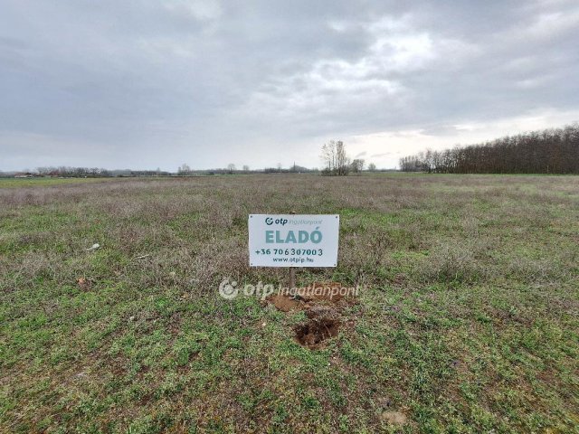 Eladó telek, Tiszakécskén 8.5 M Ft / költözzbe.hu