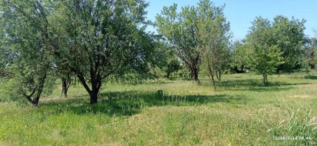 Eladó mezogazdasagi ingatlan, Mohácson 6 M Ft