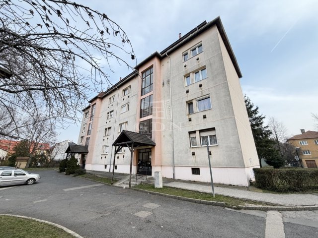 Kiadó téglalakás, albérlet, Székesfehérvárott 165 E Ft / hó