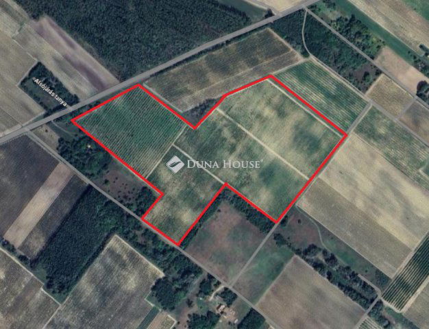Eladó telek, Orgoványon 34 M Ft / költözzbe.hu