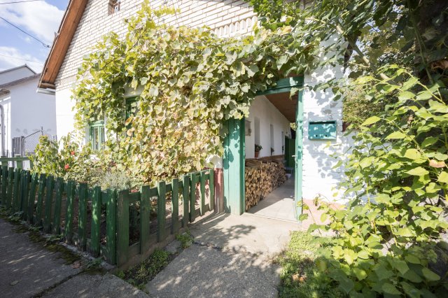 Eladó családi ház, Tolmácson 20.9 M Ft, 1 szobás