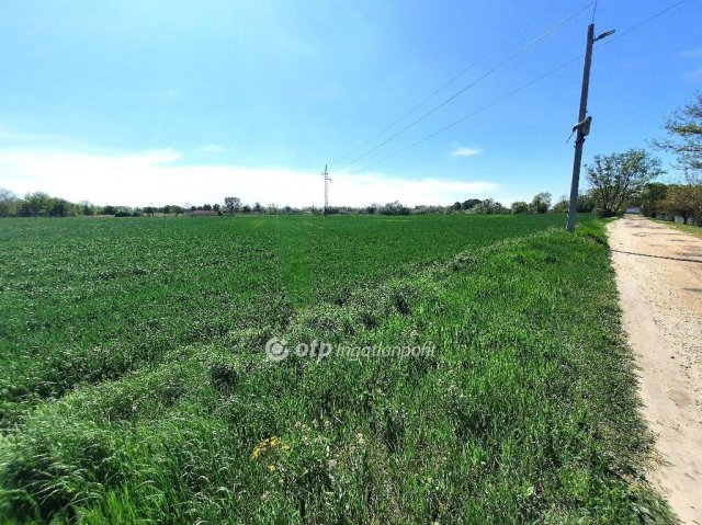 Eladó telek, Kiskunfélegyházán 25.99 M Ft / költözzbe.hu