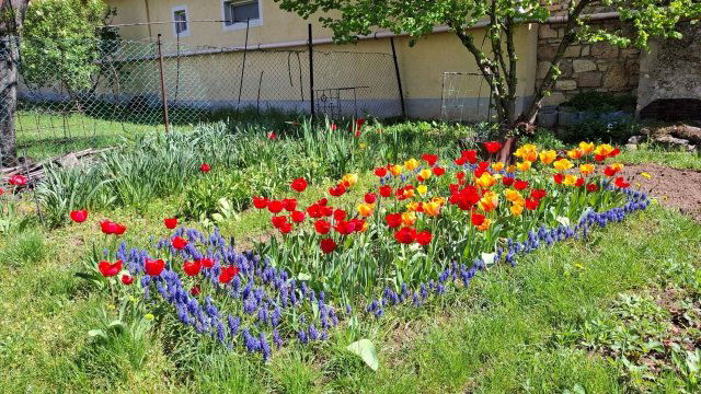 Eladó családi ház, Tótvázsonyban 79 M Ft, 3 szobás