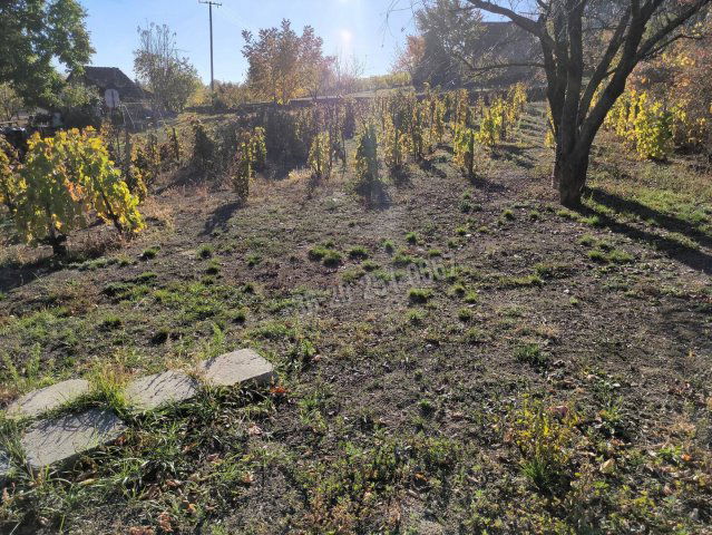 Eladó telek, Mohácson 1.2 M Ft / költözzbe.hu