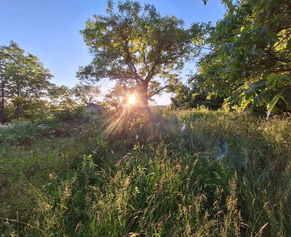Eladó telek, Zalaszántón 10.5 M Ft / költözzbe.hu