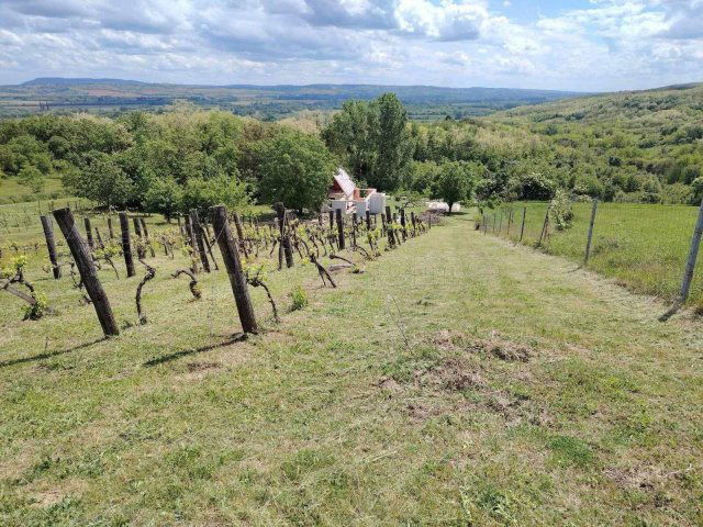 Eladó mezogazdasagi ingatlan, Zalaszentgróton 12 M Ft