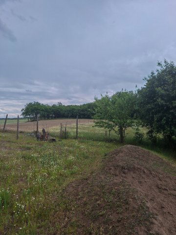 Eladó mezogazdasagi ingatlan, Baján 60 M Ft / költözzbe.hu