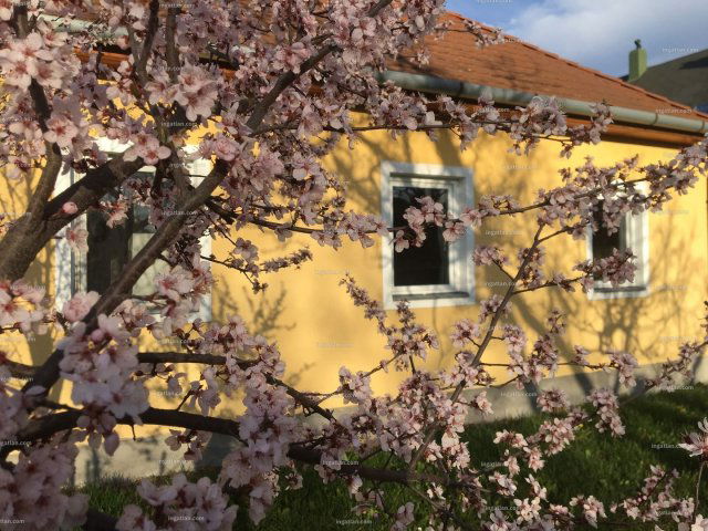 Eladó családi ház, Siófokon, Rózsa utcában 87 M Ft, 4 szobás